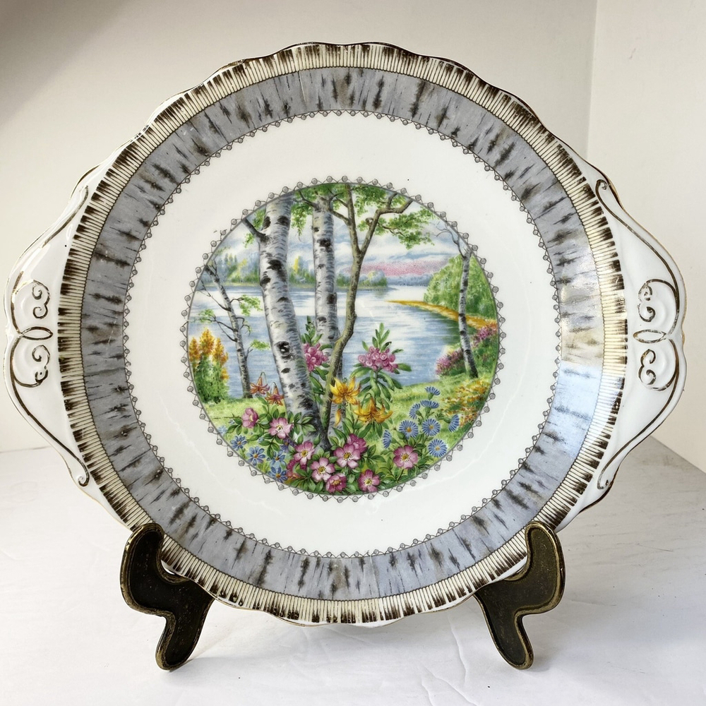 ROYAL ALBERT SILVER BIRCH HANDLED CAKE PLATE 10 Inches BONE CHINA EUC England